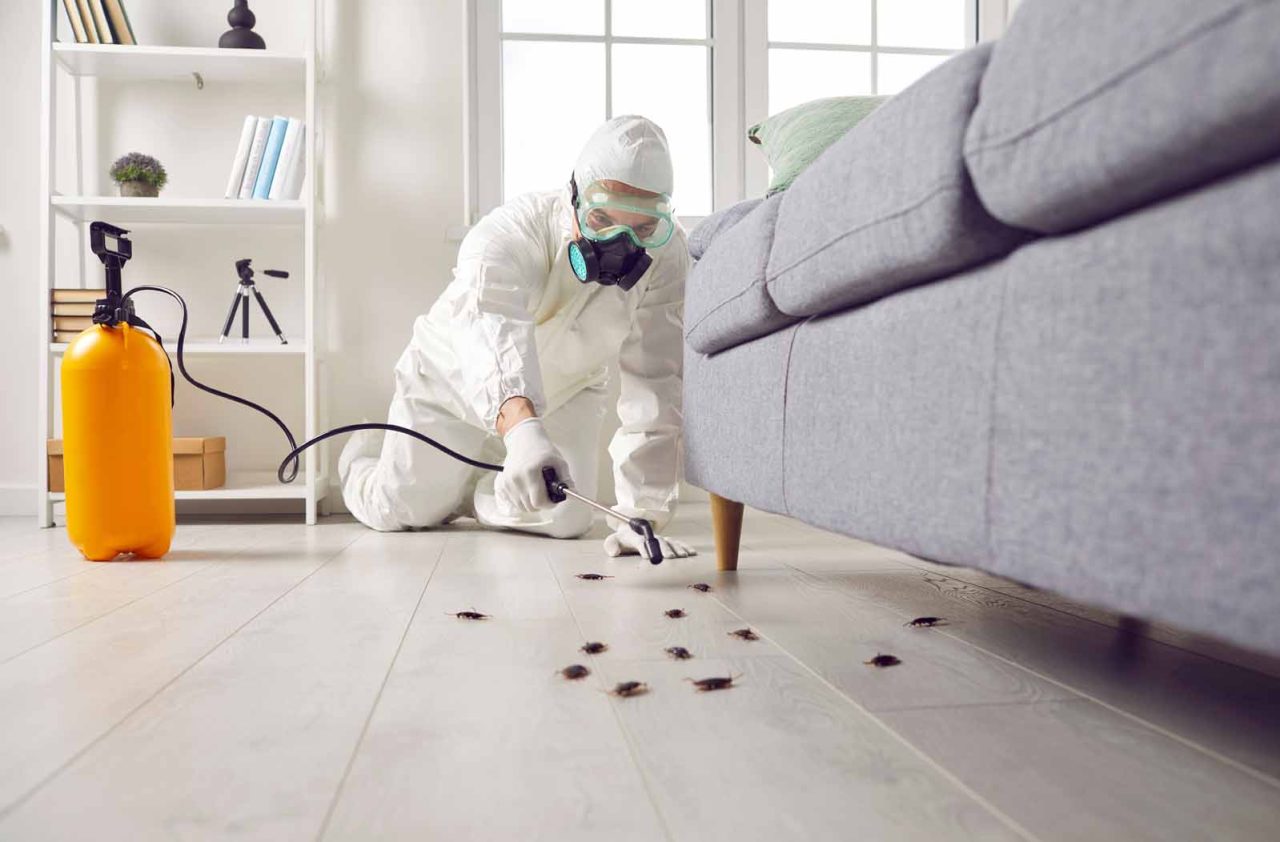 Pest Control New Hampshire | Cornerstone Pest Control