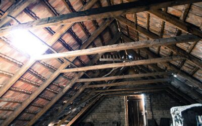 The Benefits of a Complete Interior Home Inspection: Protecting Your Home from Hidden Pests