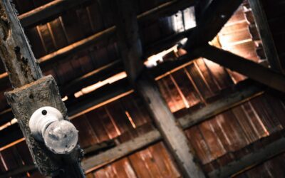 Pest-Proofing Your Attic – Keeping Critters Out During Winter