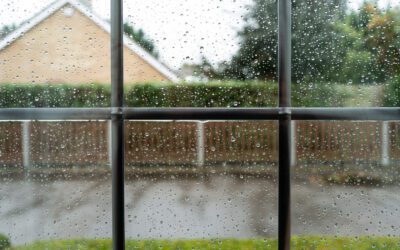 Defending Your Home From Moisture-Loving Spring Pests