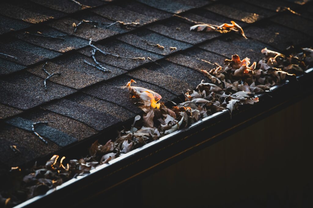 clogged gutters