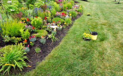 Garden Pest Prevention for Homeowners: Keeping Critters Out of Your Flower Beds
